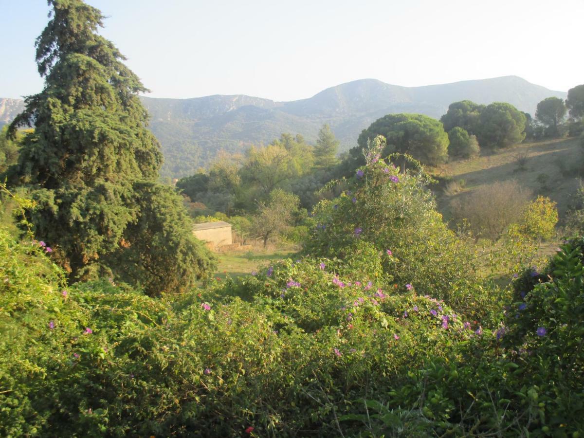 Coin De Paradis كينتا دو أنجو المظهر الخارجي الصورة